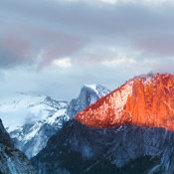 William Greenes foto