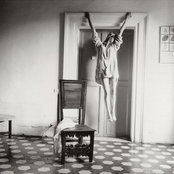 Foto von biela