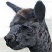 Rochelle Veitch's photo