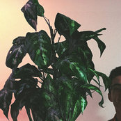 Sam Bumbalo's photo