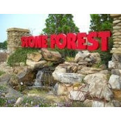 Stone Forest's photo