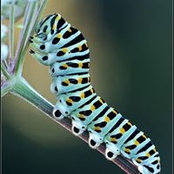 Mireille Drouin's photo