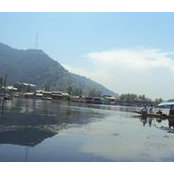 Nizar India's photo
