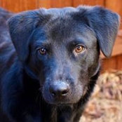 Rex Sanford's photo