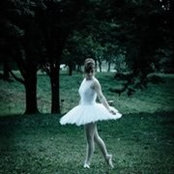 Abigale Cannon's photo