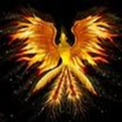 Amila Banuka's photo