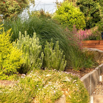 Quamby Garden: Mixed plantings
