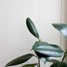 interiors