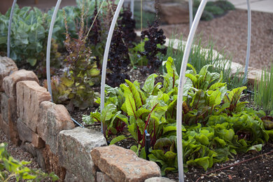Inspiration for a traditional landscaping in Albuquerque.