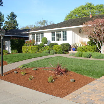Our Work