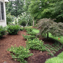 Yard and Garden - Front Yard Plantings