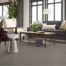 Living Room Carpet