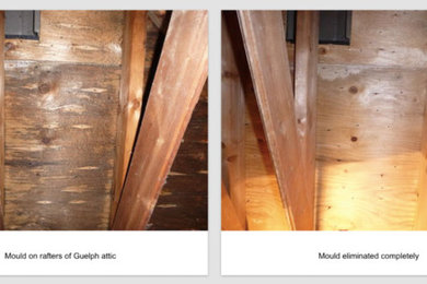 A Small Sampling of our Before and After Photos