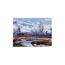 Snow Fall Canvas Prints - Artwork