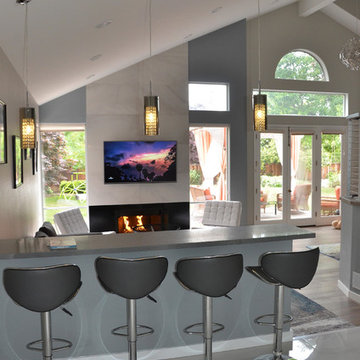 Walnut Creek Contemporary Living Room