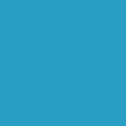 Major Blue - Paint