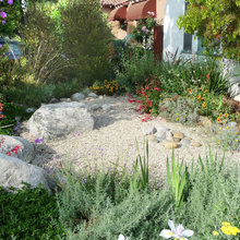 Landscape Ideas