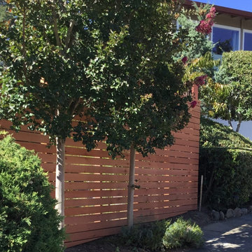 Beryl Lane Horizontal Fence
