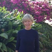 Susan Walker's photo