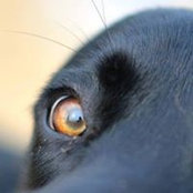 Eduardo Outeda's photo