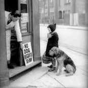 Anna Anuk's photo