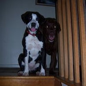 Amy Mahl's photo