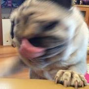 Kentaro Higuchi's photo