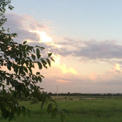 Brenda's photo