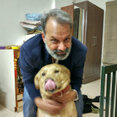 Dilip Pandya's profile photo
