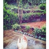 Sandhya Lakshmanan's photo