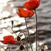 Patricia Wrights foto