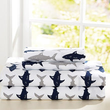 R's room
