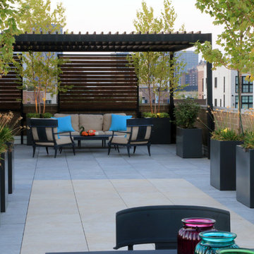 Contemporary Lakeview Roof Deck