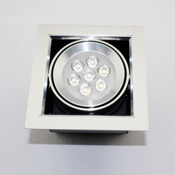 LED down light - Ceiling Lighting