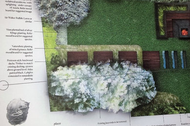 Design ideas for a contemporary backyard full sun xeriscape in Sydney.