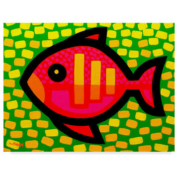John Nolan 'Big Fish' Canvas Art, 32"x24"