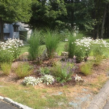 Summer to Fall - The Power of Perennial Gardens