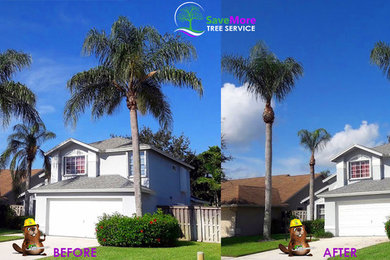 SaveMore Tree Service - West Palm Beach, FL, US 33412 | Houzz