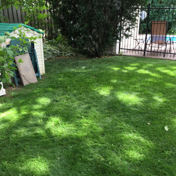 Lawn Restoration 2016