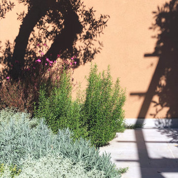 Jardin Sant Cugat