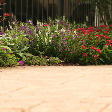 Beautiful Blooming Borders