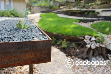 Design ideas for a small modern drought-tolerant and partial sun backyard gravel landscaping in Austin.
