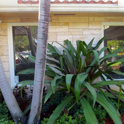 Hollywood - Traditional - Windows