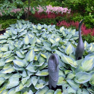 Northbrook Illinois Shade Garden in June