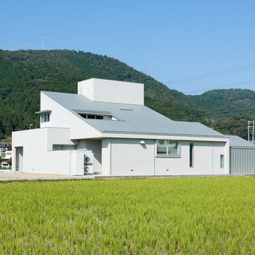 House of Representation