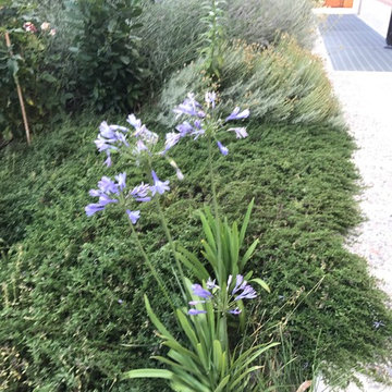 giardini con acqua e aromatiche