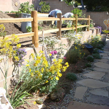 various photos