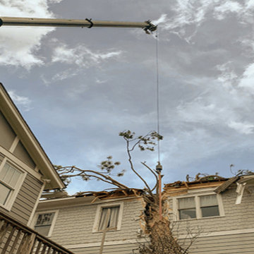 Virginia Beach Tree Removal Services