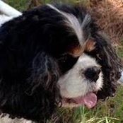 Betty Irwin's photo