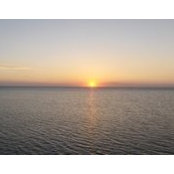 Trude Wyrick's photo
